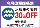 30��OFF�I�����̐������h